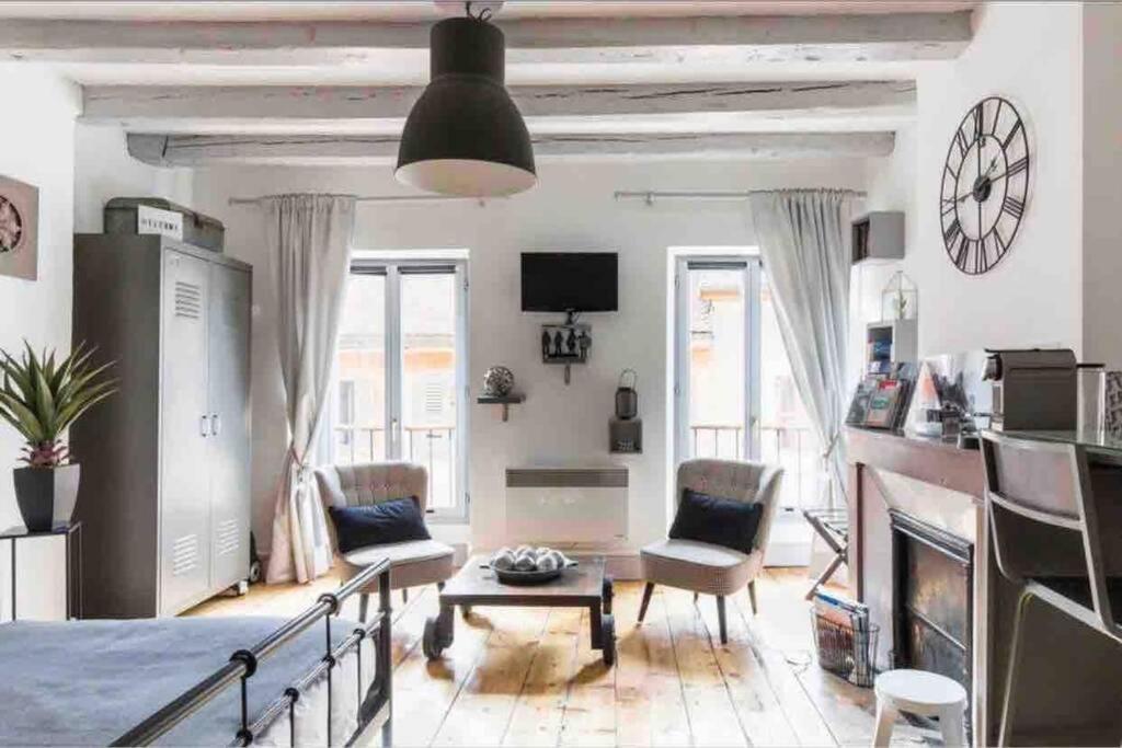 Au Grey D'Annecy, Studio Cosy Au Coeur De La Ville 외부 사진