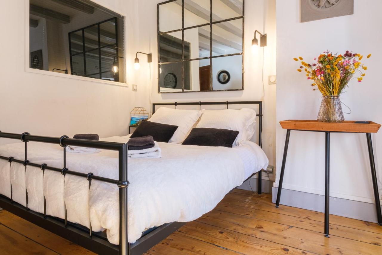 Au Grey D'Annecy, Studio Cosy Au Coeur De La Ville 외부 사진