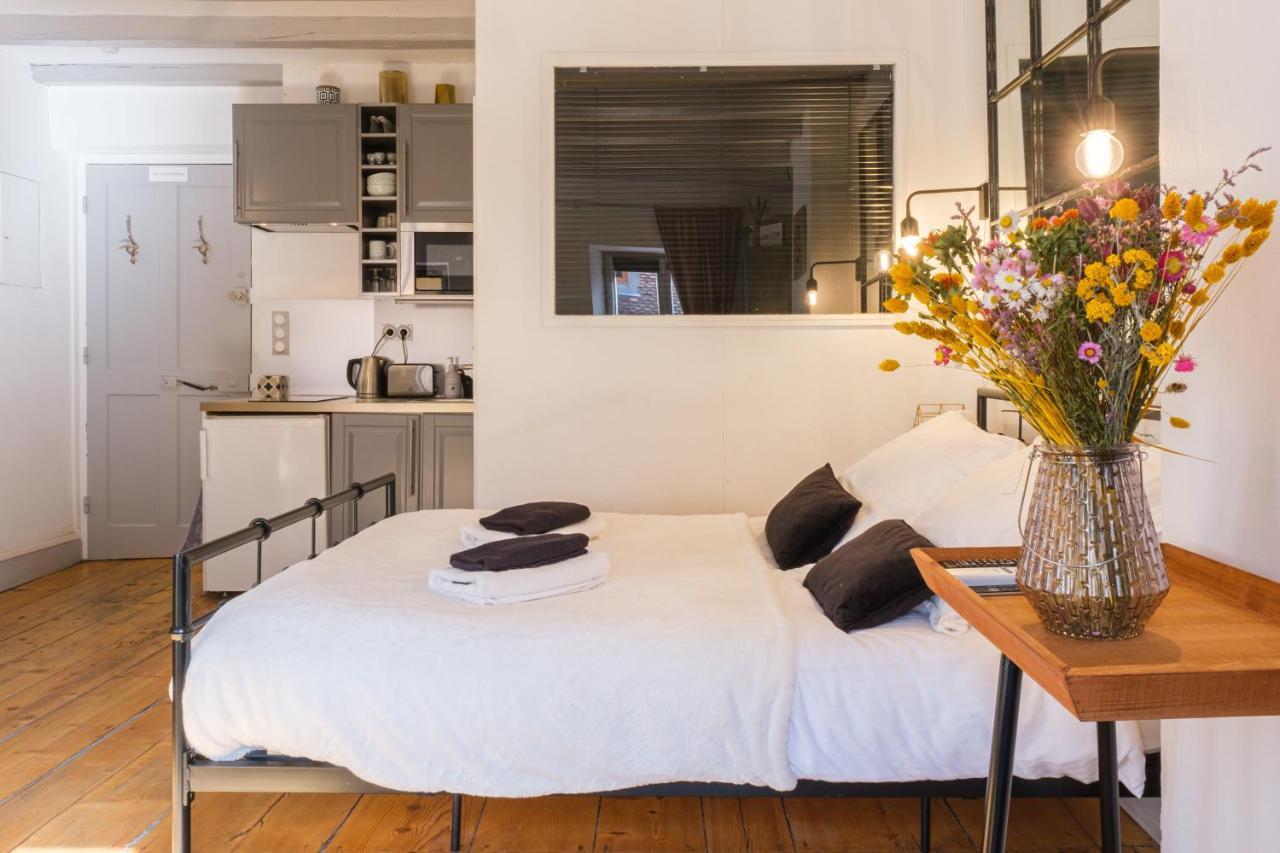 Au Grey D'Annecy, Studio Cosy Au Coeur De La Ville 외부 사진