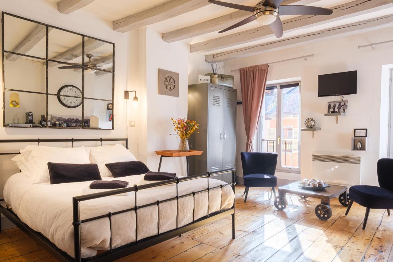 Au Grey D'Annecy, Studio Cosy Au Coeur De La Ville 외부 사진
