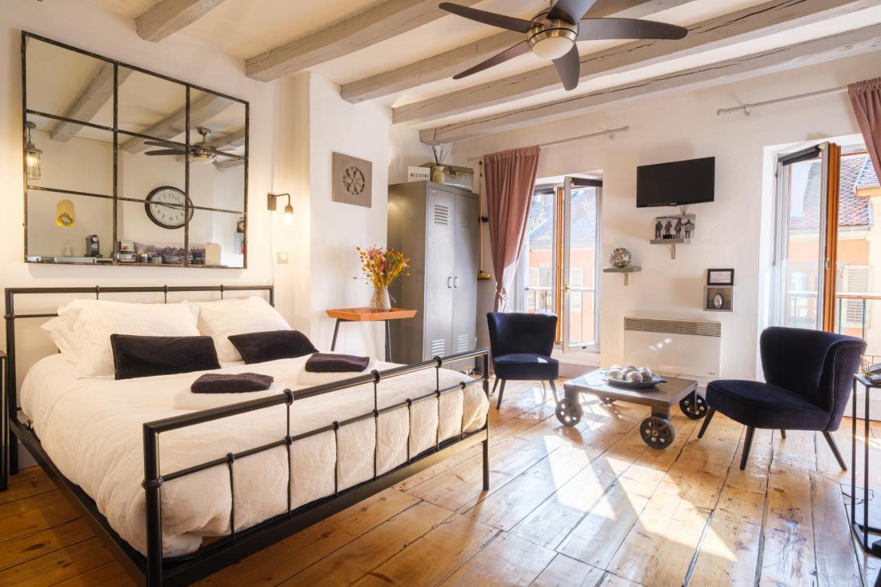 Au Grey D'Annecy, Studio Cosy Au Coeur De La Ville 외부 사진